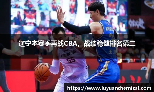 辽宁本赛季再战CBA，战绩稳健排名第二
