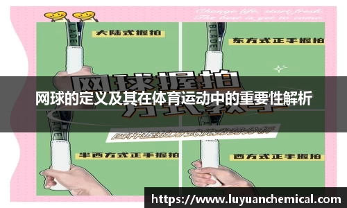 网球的定义及其在体育运动中的重要性解析