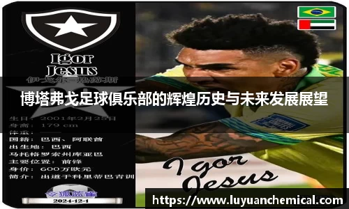 博塔弗戈足球俱乐部的辉煌历史与未来发展展望